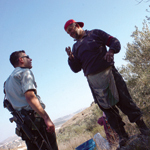 מסיק זיתים בסמוך לטול כרם