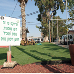 המדשאה החדשה