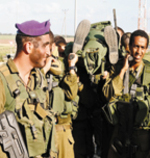 לוחמים סגולים